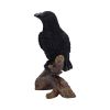 Ravens Perch Resin Figurine