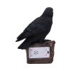 Ravens Cry 18cm