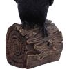 Ravens Cry 18cm