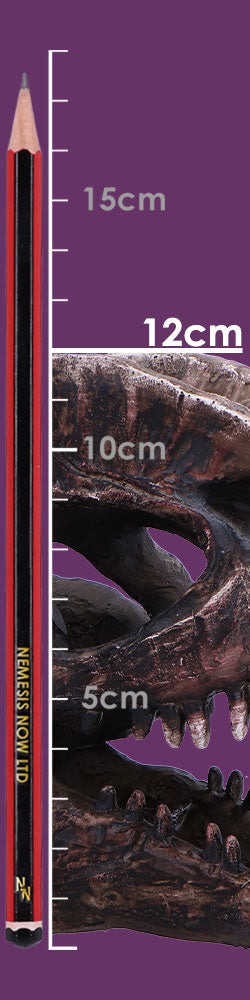 Dilophosaurus Skull Resin Replica