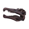 Spinosaurus Skull Resin Replica