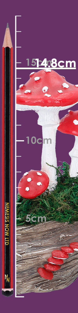Toadstool Trunk 15.2cm