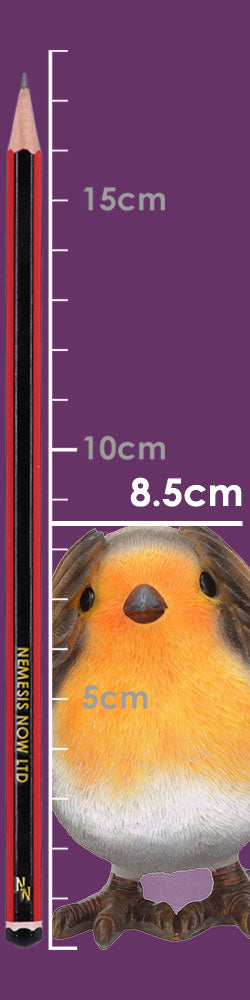 Three Wise Robin Figurines 8cm