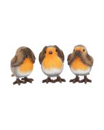 Nemesis Now Three Wise Dragonlings Figurines Dragon Ornaments