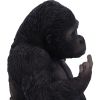 Gone Wild Gorilla Figurine 15.5cm