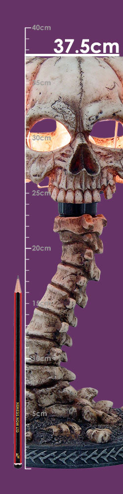 Atrocity Natural Bone Skull and Spine Lamp