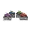 Dragons Safehold Box Set of 4 Trinket Boxes