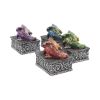 Dragons Safehold Box Set of 4 Trinket Boxes