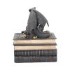 Secrets of the Dragon Box Gothic Skull Books Trinket Box