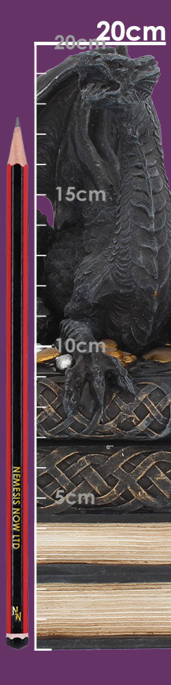 Secrets of the Dragon Box Gothic Skull Books Trinket Box