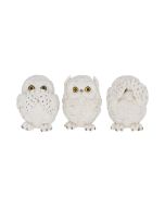 Three Wise Feathered Familiars 9cm