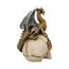 Dragon's Grasp Steampunk Skull and Dragon 18.5cm