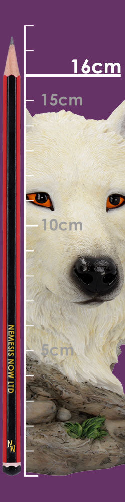 Snow Searcher White Wild Wolf Bust 16cm