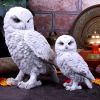 Snowy Watch Large White Owl Ornament