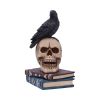 Raven's Spell Figurine 10.3cm