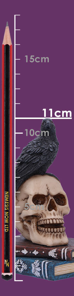 Raven's Spell Figurine 10.3cm