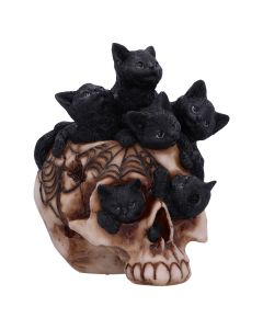 Forever Friend Black Cat Skull Head 14.5cm
