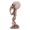 Skeletal Wish Gothic Skeleton Figurine
