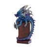 A Tale of Dragons Skull Book Figurine 22cm