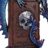A Tale of Dragons Skull Book Figurine 22cm