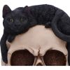 Forever Friend Black Cat Skull Head 14.5cm