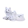 Pups Protection Mother Wolf and Cubs Figurine 20.5cm