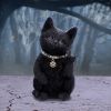 Metallicat Black Cat Throwing Rock Hand Sign