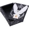 Owl Messenger Trinket Box