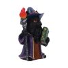 Magnus – Fantasy Wizard Cat Figurine