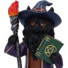 Magnus – Fantasy Wizard Cat Figurine