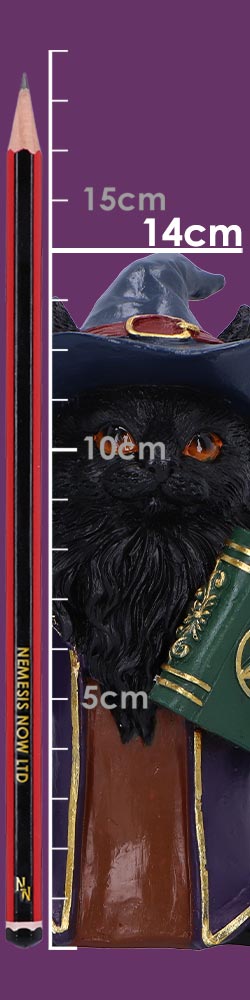 Magnus – Fantasy Wizard Cat Figurine