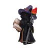 Albus – The Black Wizard Cat Figurine