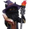 Albus – The Black Wizard Cat Figurine