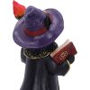 Albus – The Black Wizard Cat Figurine