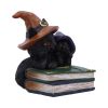 Duo Divination Witches Cat Figurine