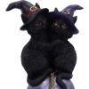 Kittens Orbuculum Witches Cat Ornament