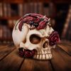 Rose Flame Decorative Skull With Sleeping Dragon