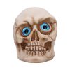Eyes Wide Open (Blue) Decorative Resin Skull