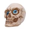 Eyes Wide Open (Blue) Decorative Resin Skull