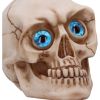 Eyes Wide Open (Blue) Decorative Resin Skull