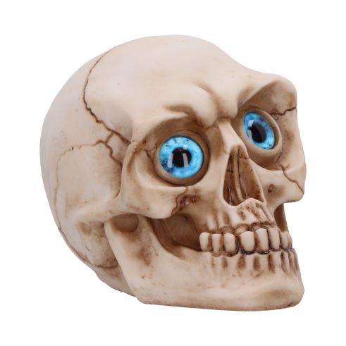 Eyes Wide Open (Blue) Decorative Resin Skull