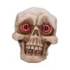 Eyes Wide Open (Red) Decorative Resin Skull
