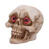 Eyes Wide Open (Red) Decorative Resin Skull