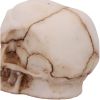 Eyes Wide Open (Red) Decorative Resin Skull