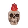 Hot-Headed Decorative Resin Skull