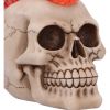 Hot-Headed Decorative Resin Skull
