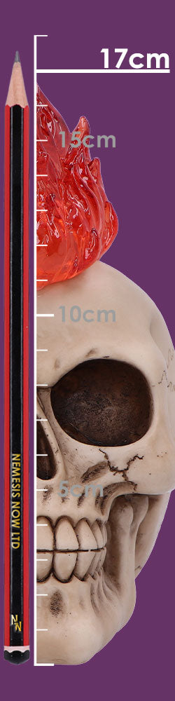 Hot-Headed Decorative Resin Skull