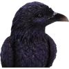Raven Roost Backflow Incense Burner