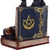 Coven Keepers (Display Stand with 36pcs)