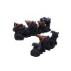 Coven Keepers (Replacement Cats 12pcs)